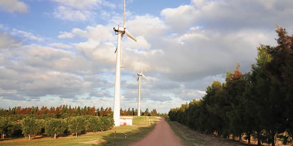 Un espectáculo diferente en Garzón