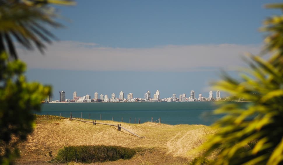 El encanto de los jardines