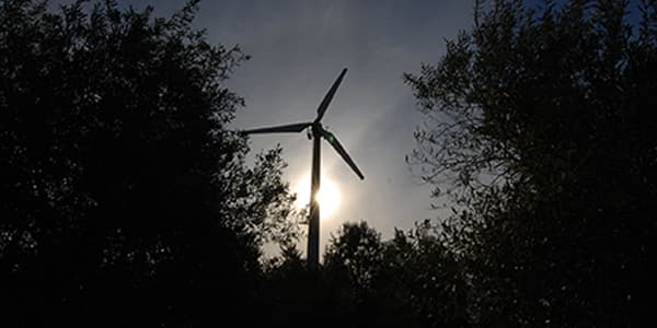 Un espectáculo diferente en Garzón, las plantaciones de olivares y las turbinas eólicas
