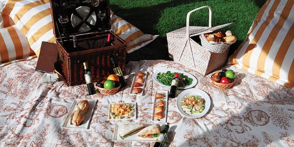 Agroland propone diez programas diferentes que se pueden combinar o no, de manera flexible para que cada visitante pueda armar la visita que más le interese. Desde escuchar música clásica a realizar un picnic entre los olivares