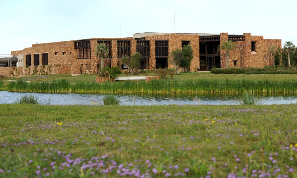 Agroland. <br>Olivas y vinos, oro en botellas