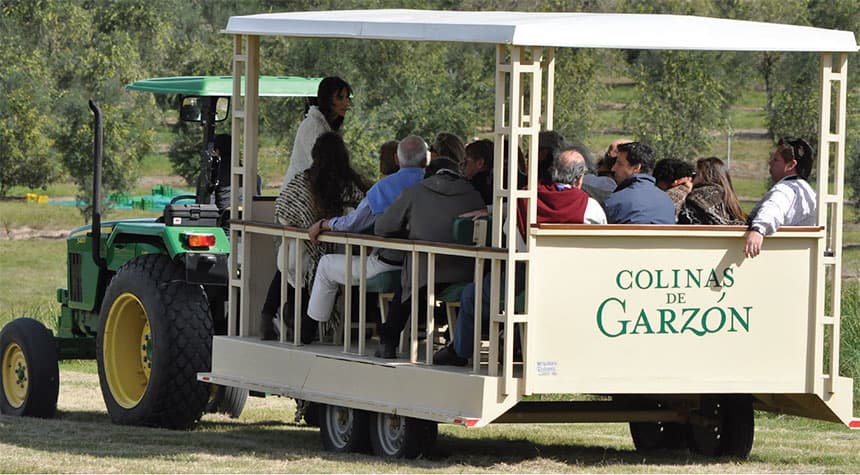 Agroland, una obra de la naturaleza esculpida por la mano del hombre