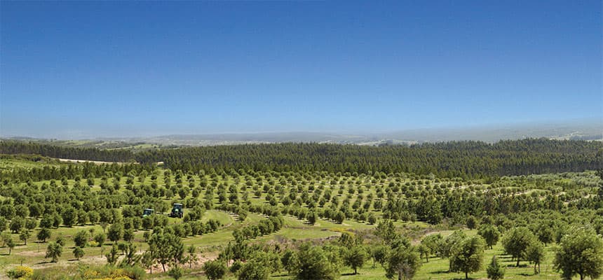 Agroland alcanza 5to. puesto del Ranking Mundial de Empresas Ovícolas 2015