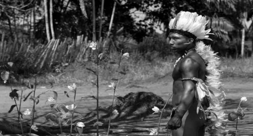 el abrazo de la serpiente