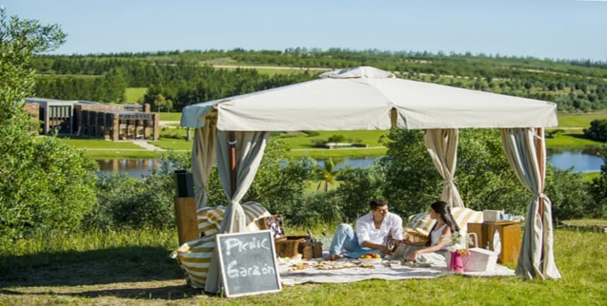 Debajo de un cómodo gacebo y entre los olivares, un picnic con quesos de la región, ensalada de verdes con vinagreta, nueces, panes de campo, marsellés y baguettes, aceite de oliva y más...