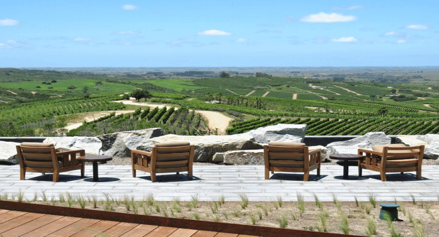 Viví la Experiencia Garzón durante todo el año