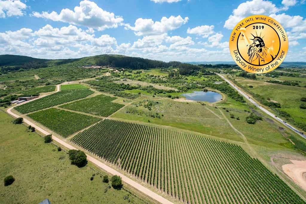 Viña Edén – Private Vineyards