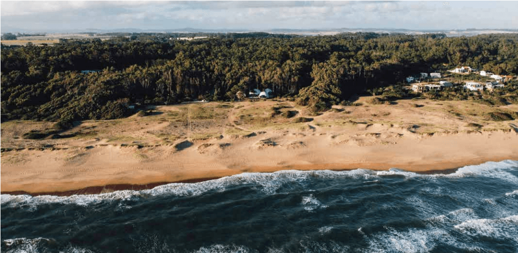 Screen Shot 2025-11-03 at 1.58.34 PM Screen Shot 2025-11-03 at 1.58.34 PM