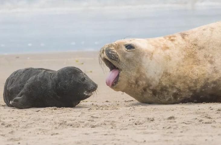 568626588_25112230555060107_3388913944147999405_n 568626588_25112230555060107_3388913944147999405_n