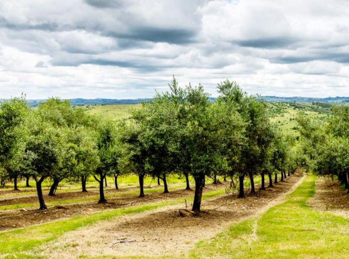 Screen Shot 2025-12-03 at 2.22.39 PM Screen Shot 2025-12-03 at 2.22.39 PM