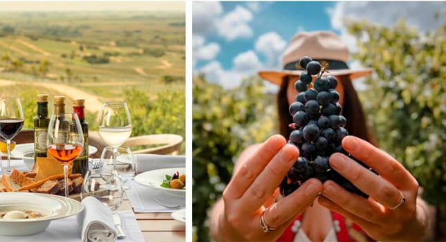 garzon-vendimia2025-ppal3 garzon-vendimia2025-ppal3