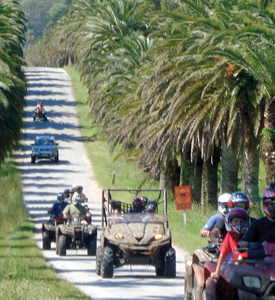 Excursión de cuatriciclos en ruta de palmeras