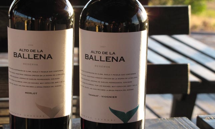 Alto de la Ballena, un destino ineludible para los amantes del buen vino