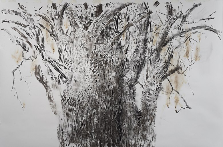 El Tilo quemado, 2014, Carboncillo de Tilo y fuego sobre papel "C"A Grain Canson, 227 x 150 cm.