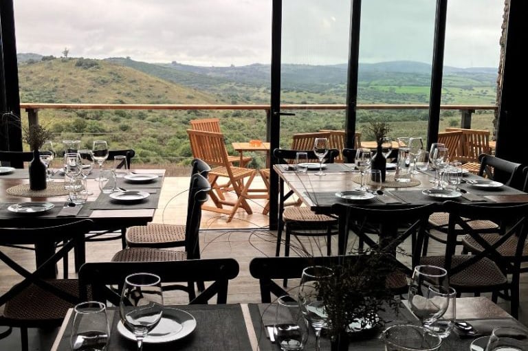 Cofra_04-768xf1024 Cofra_04-768xf1024