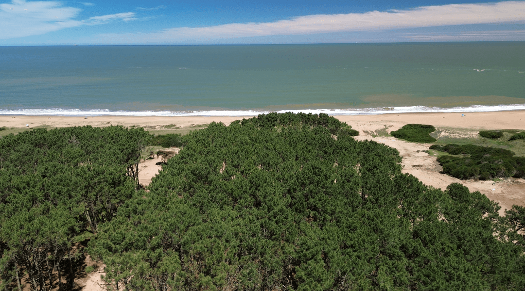 Captura de pantalla 2025-11-05 a las 2.41.35 p. m. Captura de pantalla 2025-11-05 a las 2.41.35 p. m.